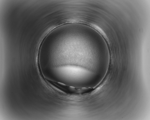 X0000088370946200706051039