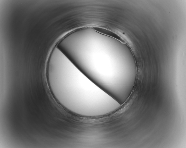 X0000088370948200706051039