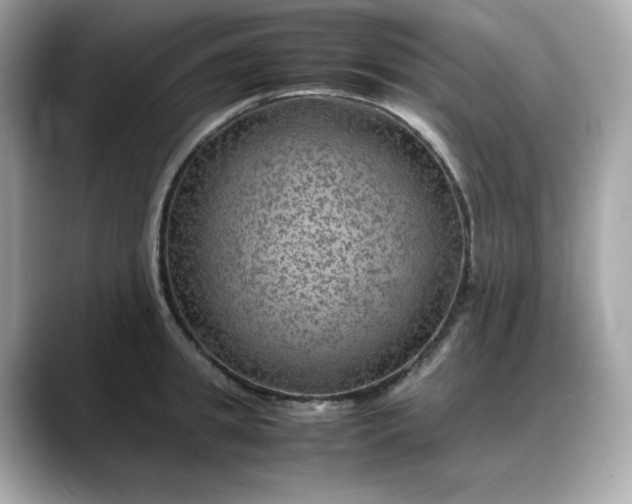 X0000088370949200706051039
