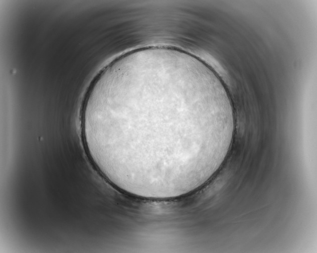 X0000088370950200706051039