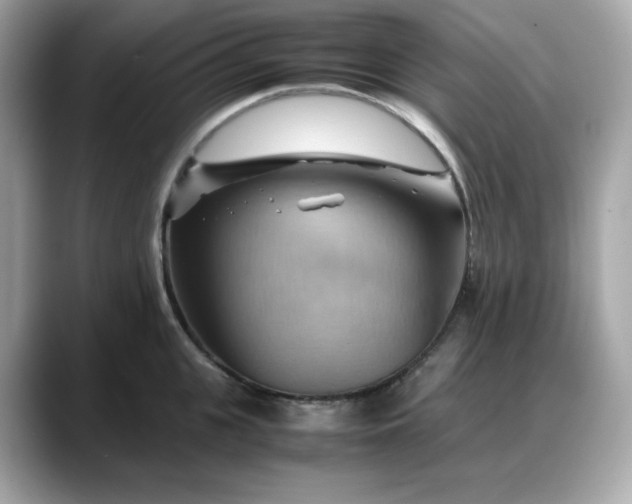 X0000088370951200706051039