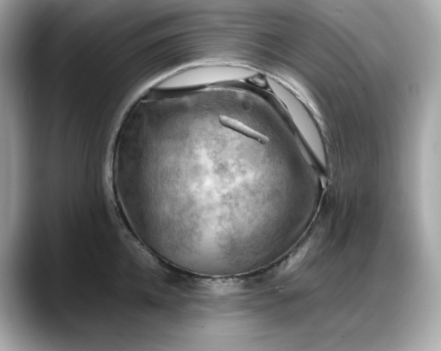 X0000088370952200706051039