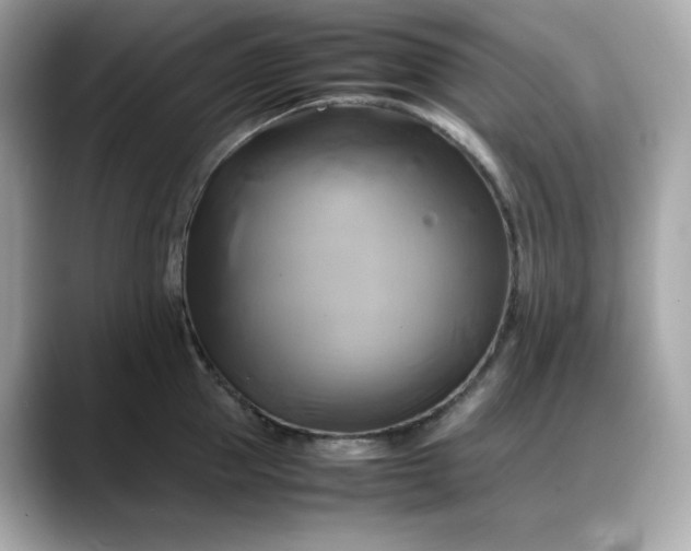 X0000088370953200706051039