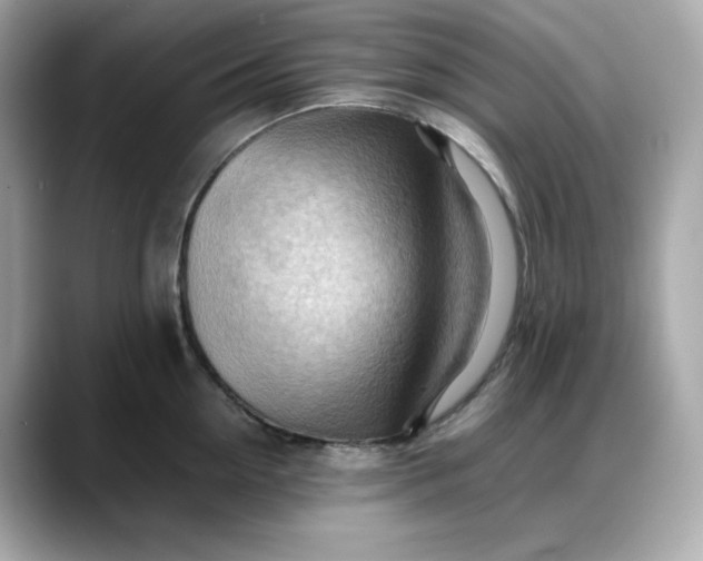 X0000088370954200706051039