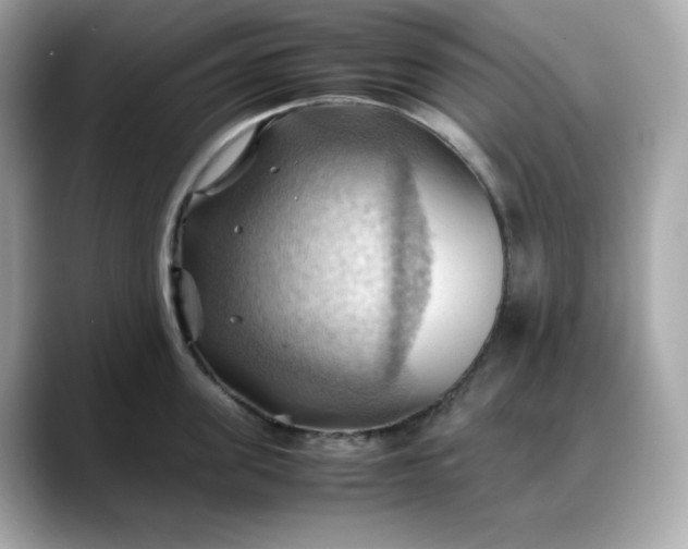 X0000088370955200706051039