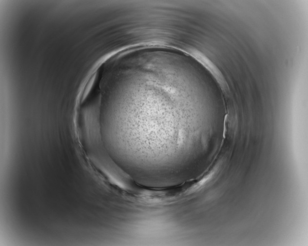 X0000088370956200706051039