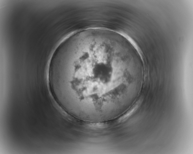 X0000088370957200706051039