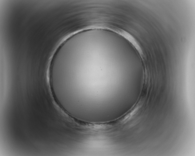 X0000088370958200706051039