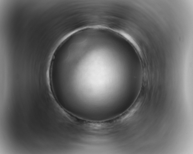 X0000088370959200706051039