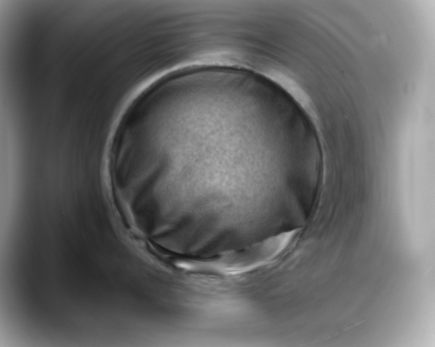 X0000088370960200706051039