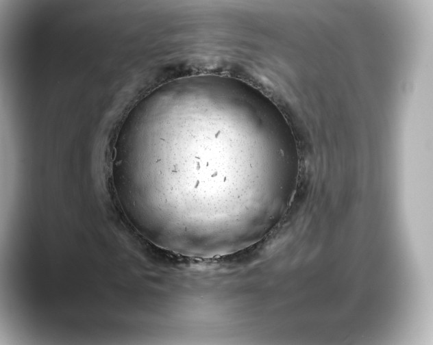 X0000088370961200706051038