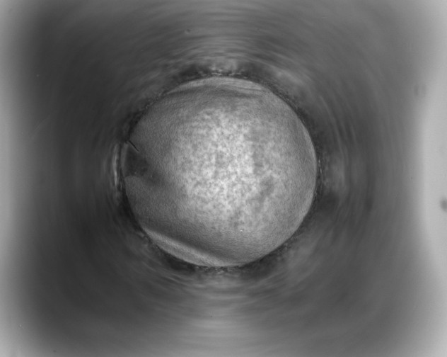 X0000088370962200706051038