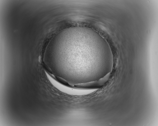 X0000088370965200706051038