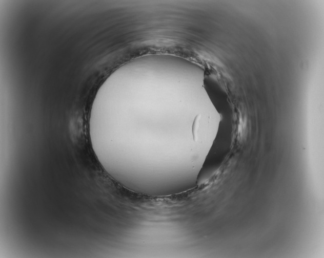 X0000088370966200706051038