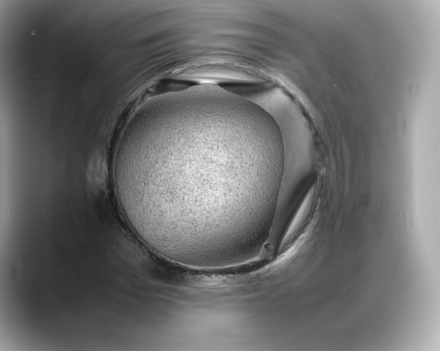 X0000088370969200706051038