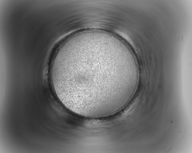 X0000088370971200706051038