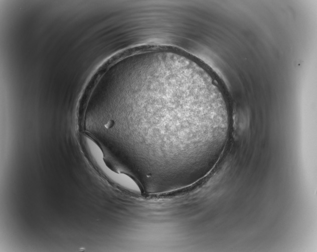 X0000088370972200706051038