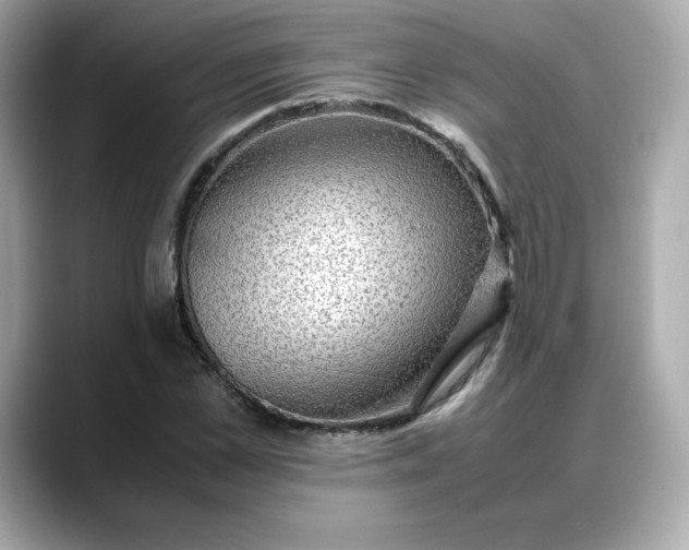 X0000088370973200706051038