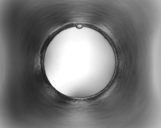 X0000088370974200706051038