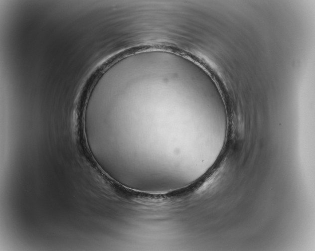X0000088370975200706051038