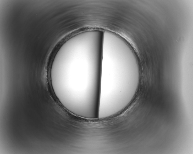 X0000088370976200706051038