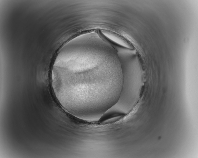 X0000088370977200706051038