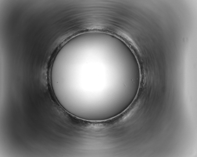 X0000088370978200706051038