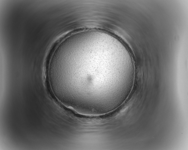 X0000088370979200706051038