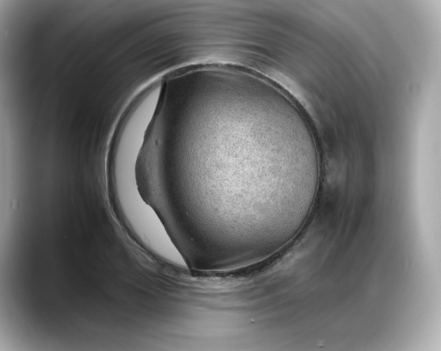 X0000088370980200706051038