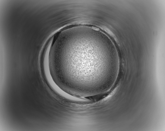 X0000088370981200706051038