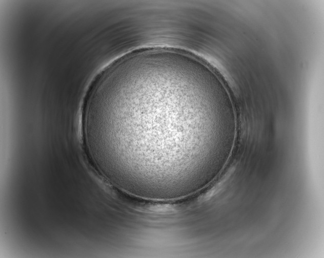 X0000088370982200706051038