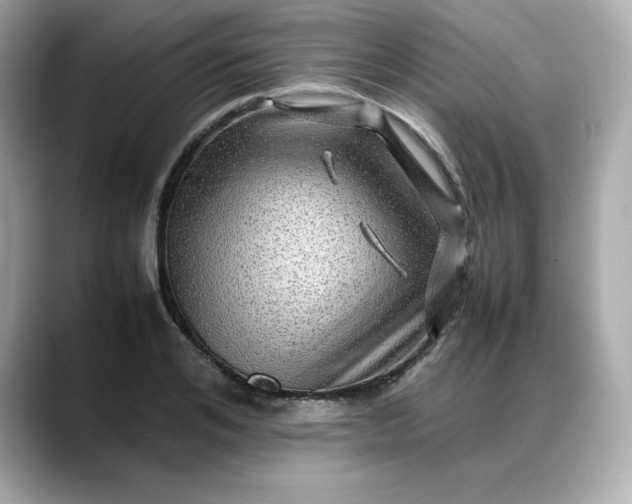 X0000088370984200706051038