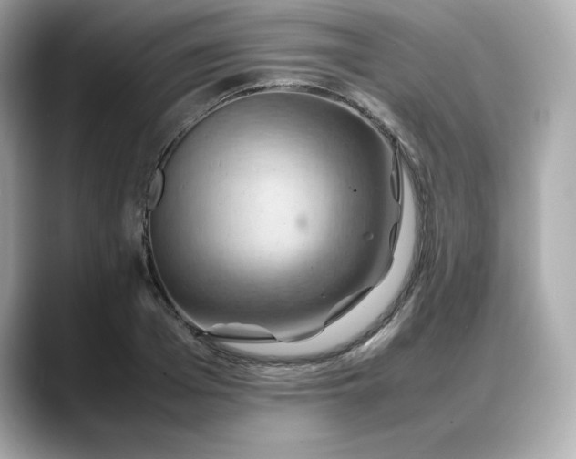X0000088370985200706051038