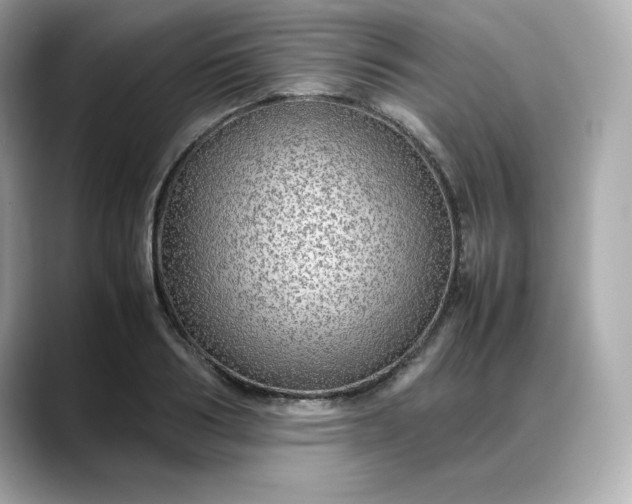 X0000088370986200706051038