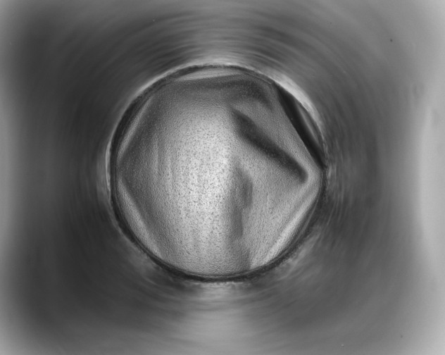 X0000088370988200706051038