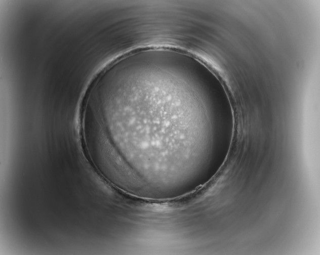 X0000088370990200706051038