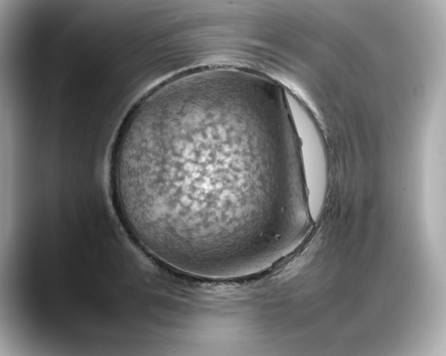 X0000088370991200706051038