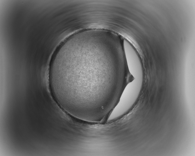 X0000088370992200706051038