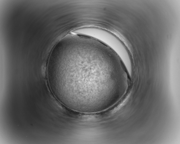 X0000088370993200706051038