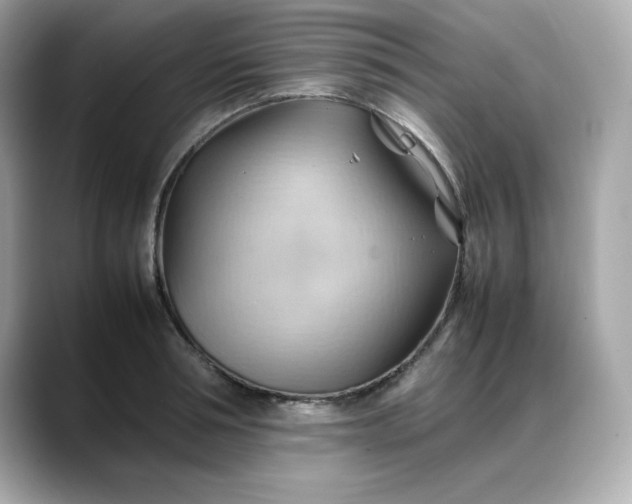 X0000088370994200706051038