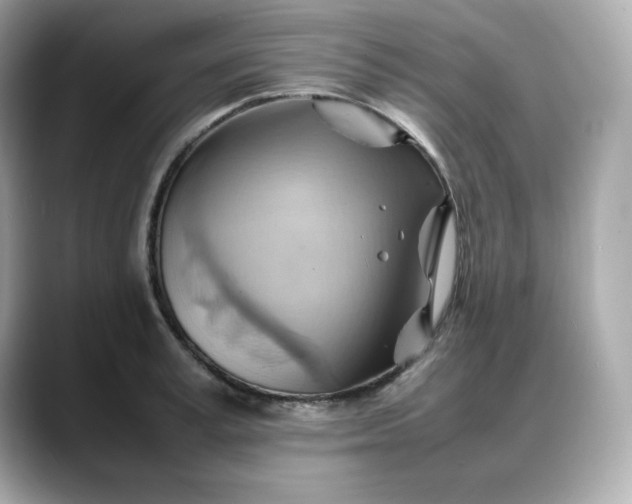 X0000088370995200706051038