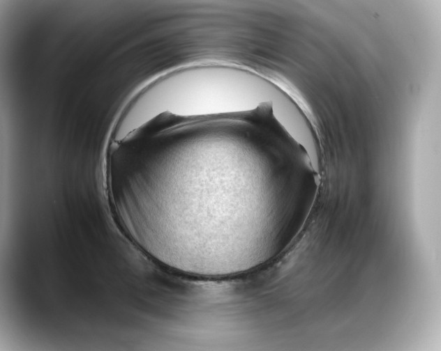 X0000088370996200706051038