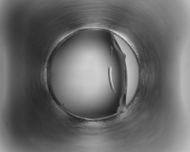 X0000088370998200706051038