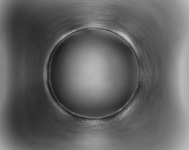 X0000088370999200706051038