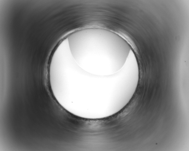 X0000088371000200706051038