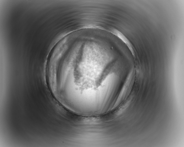 X0000088371002200706051038