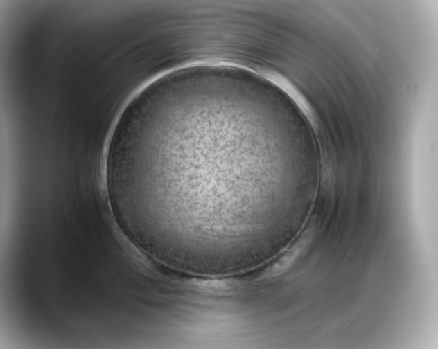 X0000088371004200706051038