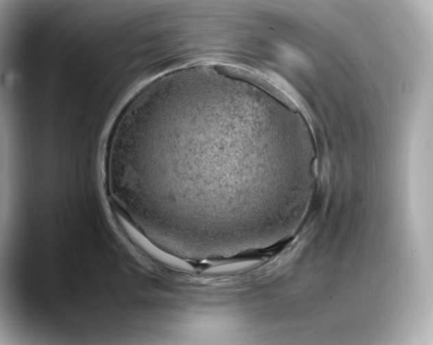 X0000088371005200706051038