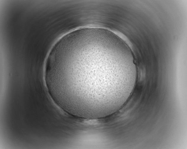 X0000088371006200706051038
