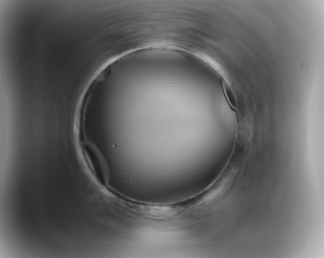 X0000088371007200706051038